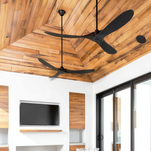 Eliora Black Ceiling Fan Outdoor Large Room Cooling-6