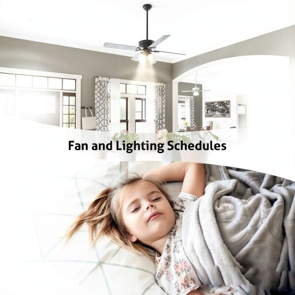 Treatlife Smart Fan Switch 4 Speed WiFi Voice-3
