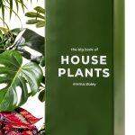 Cacti Succulents Botany Kindle Store Quadrille-0