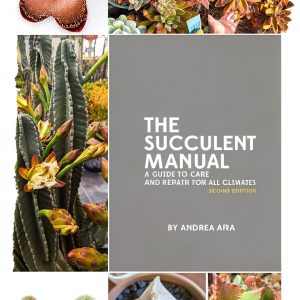 Cacti and Succulents Guide sucsforyou.com Kindle eBook 2nd Edition-0
